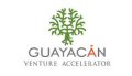 guayacan venture a universiapr